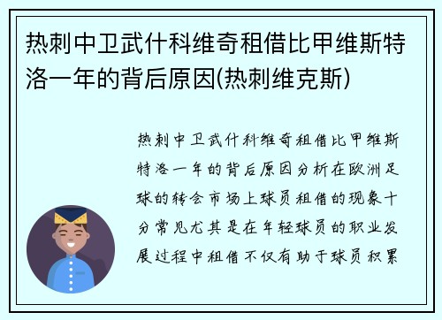 热刺中卫武什科维奇租借比甲维斯特洛一年的背后原因(热刺维克斯)