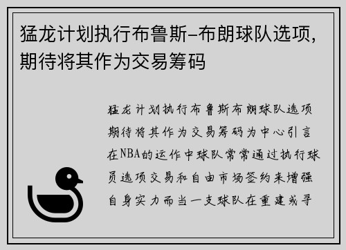 猛龙计划执行布鲁斯-布朗球队选项，期待将其作为交易筹码