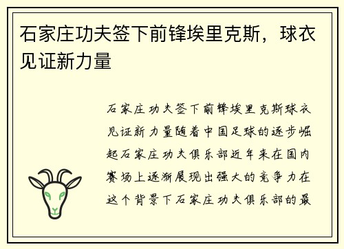石家庄功夫签下前锋埃里克斯，球衣见证新力量