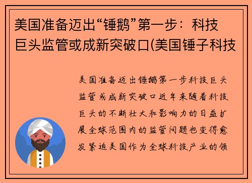 美国准备迈出“锤鹅”第一步：科技巨头监管或成新突破口(美国锤子科技有限公司)